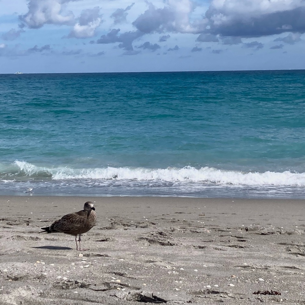 Meet your Posher, Sherry